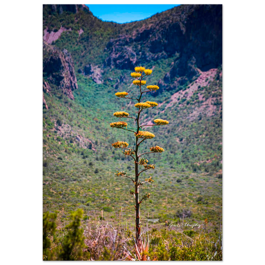 2418c1a2-6a71-4445-8b6d-597d3c027b15