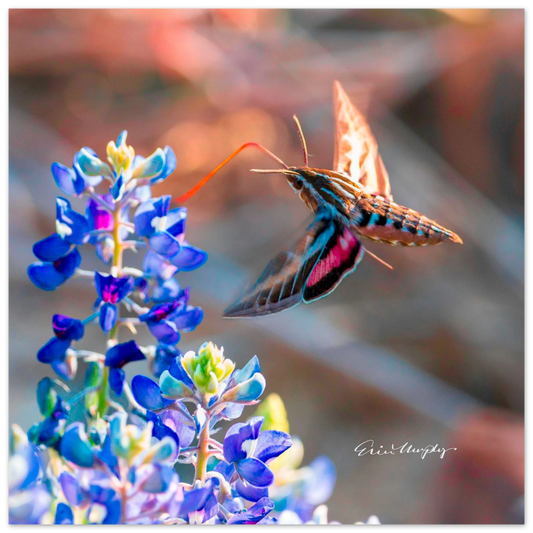 b2ce108f-fbd0-4a9f-903f-b0b8cffc4f6a