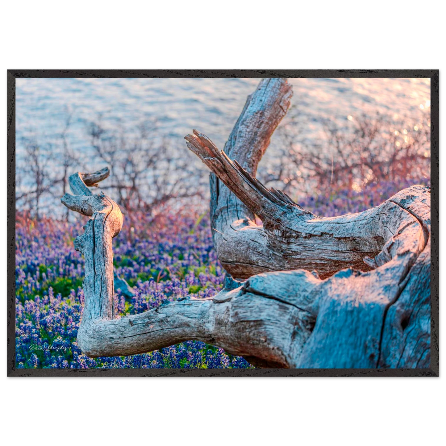 d76f4462-7860-47ed-b81f-3ddb550d2985