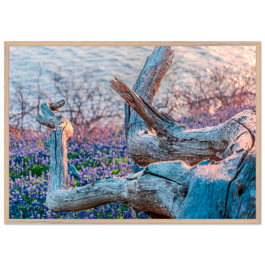 e5f48aef-e802-4dfa-8124-528811e82d7b