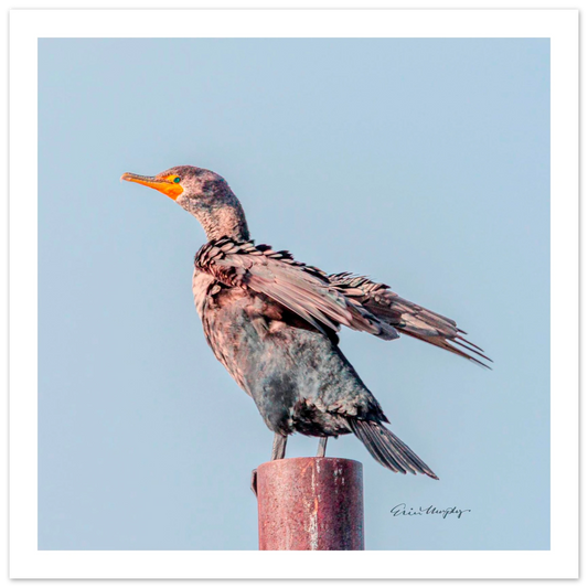 05665516-acbc-4147-ab3f-03c266bc9c0d