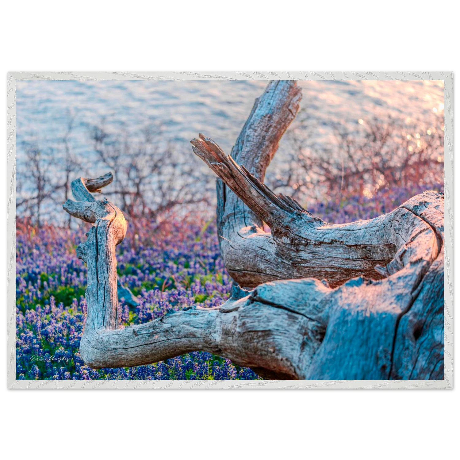 0ce12679-e5ea-463b-9fe7-6c5a5147e4a3