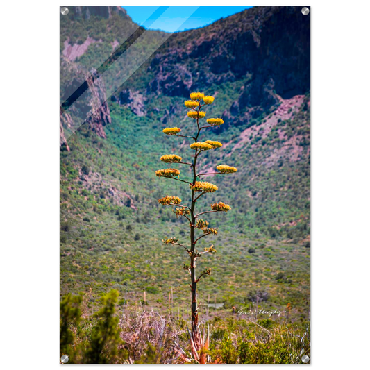 30cbaf35-45ab-4653-aff5-c5aa9fc13fe6