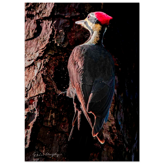 36dbaa40-9691-4b0c-b719-c2f00813470d