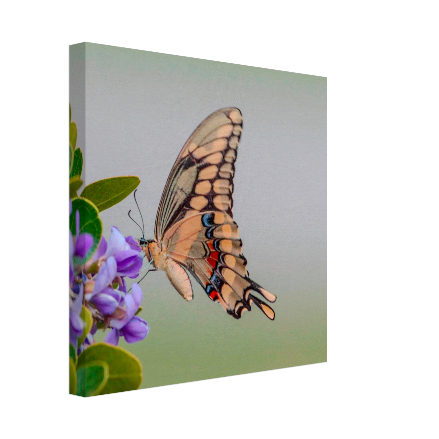 435df159-772f-4ec1-9e23-e743f65b5bd0
