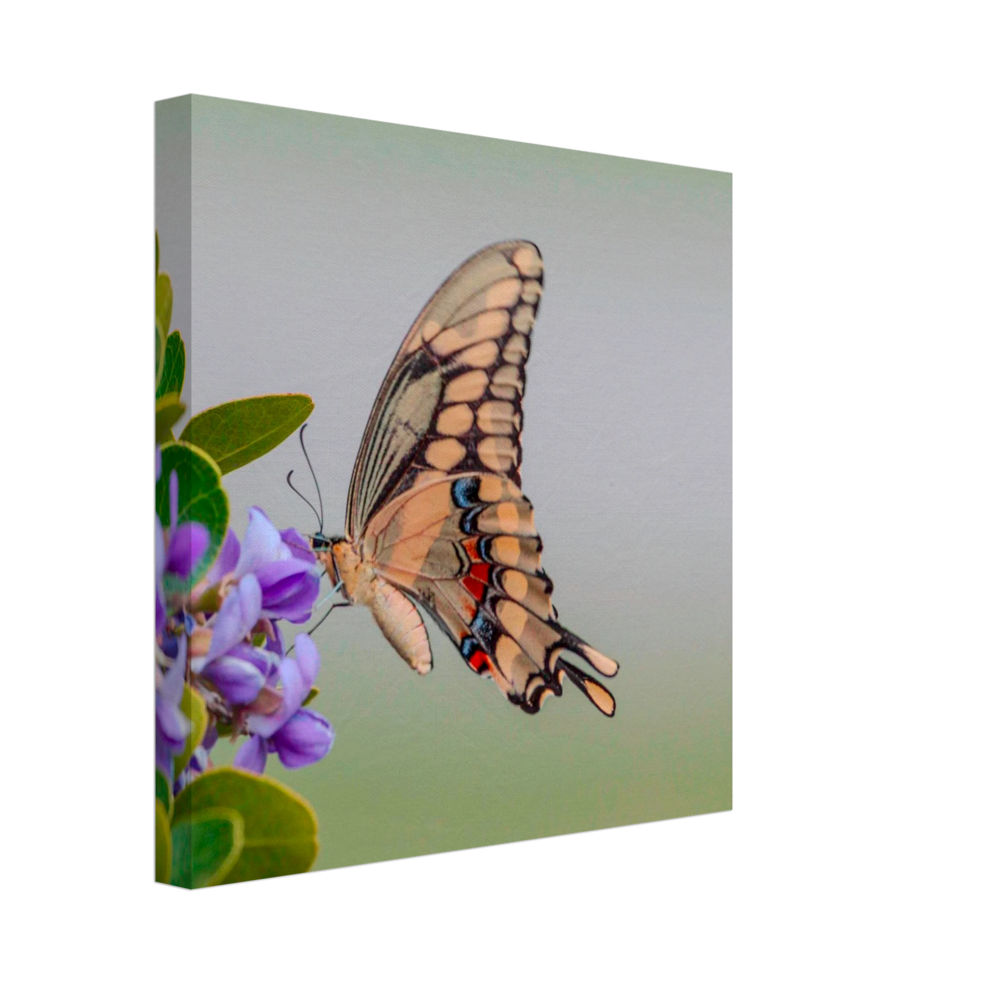 435df159-772f-4ec1-9e23-e743f65b5bd0
