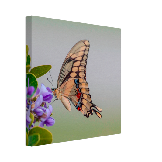 435df159-772f-4ec1-9e23-e743f65b5bd0
