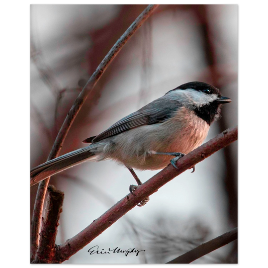 4fd21ab2-5b04-4b6d-bc40-e9d75642af4a