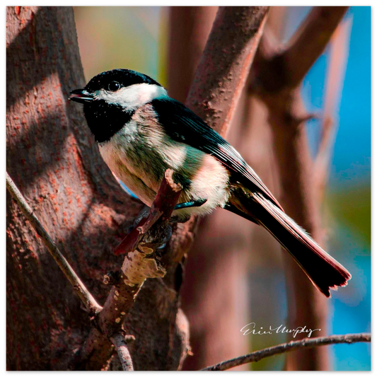 58553dd6-df8c-4b72-8af5-8888d2384fdf