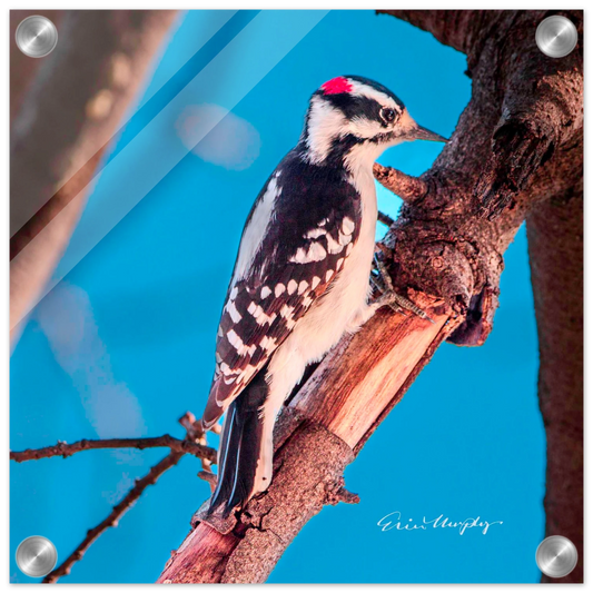 5ca97188-a460-4f0b-afa4-81f2d5a321a2