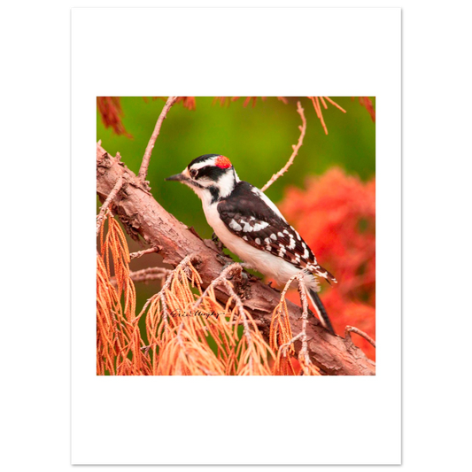 5d18d802-04d3-455f-9523-7a4f186c780d