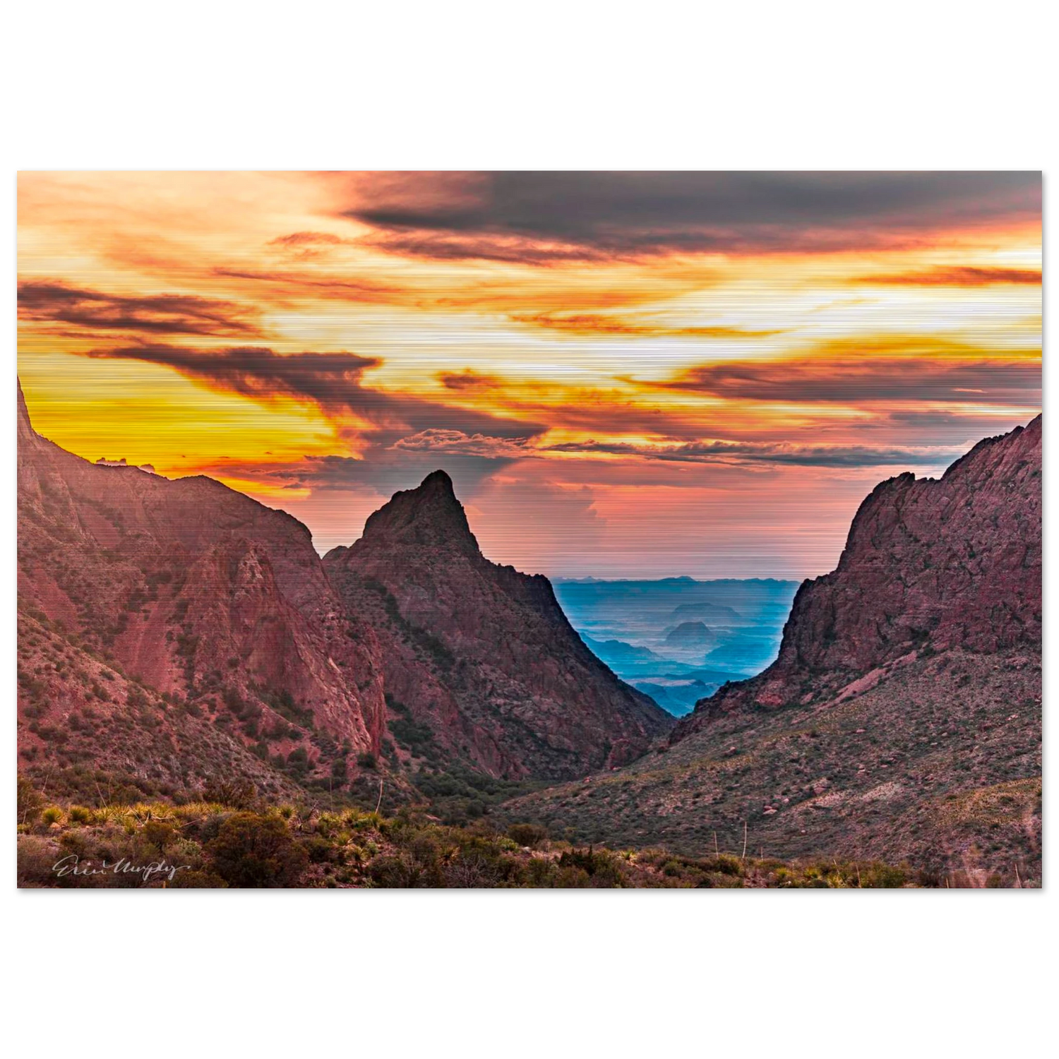 650ba80d-e861-4e26-9a53-9b561816479c