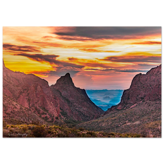 650ba80d-e861-4e26-9a53-9b561816479c