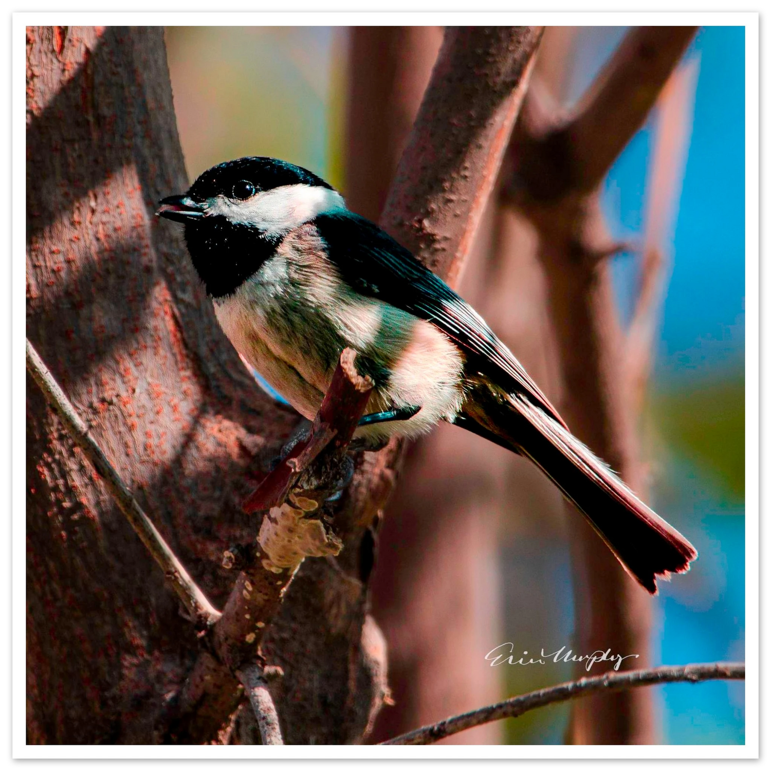 6f3921c1-40c1-4e1b-a6be-0499ba5335a7