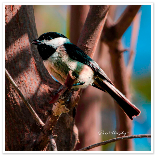 6f3921c1-40c1-4e1b-a6be-0499ba5335a7