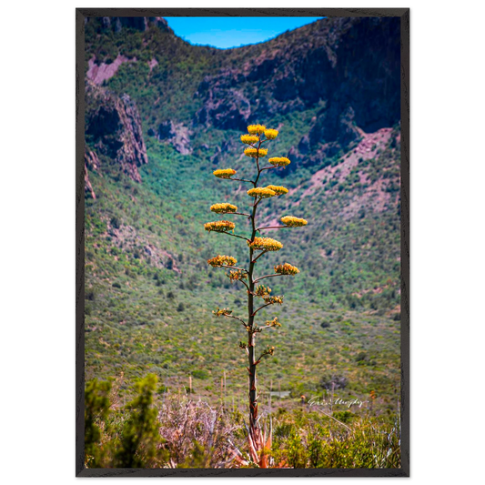 7d68706f-92a5-4ac8-8c3f-86db545df190