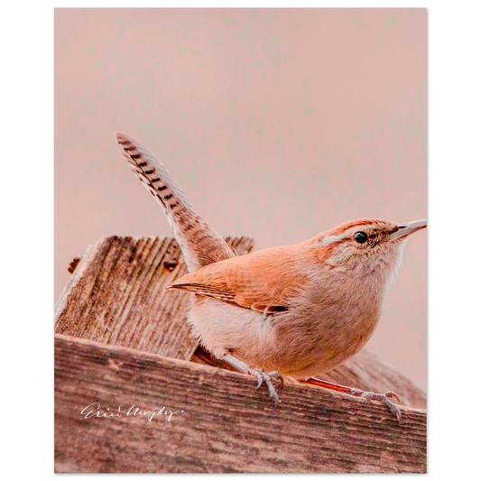 804646d3-d79a-44c4-a69c-d33e5aaa21db