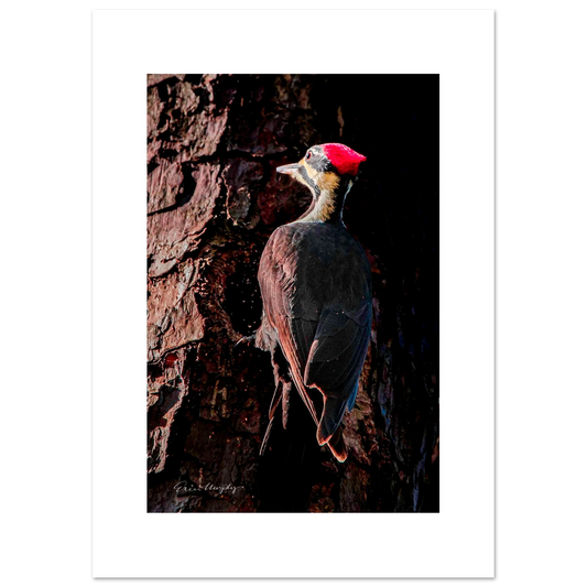 807e18eb-510d-446a-a7d6-d6da9a16e31d