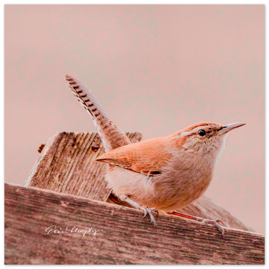 81eebab4-5dae-4ae4-b61b-92d0b27cad19