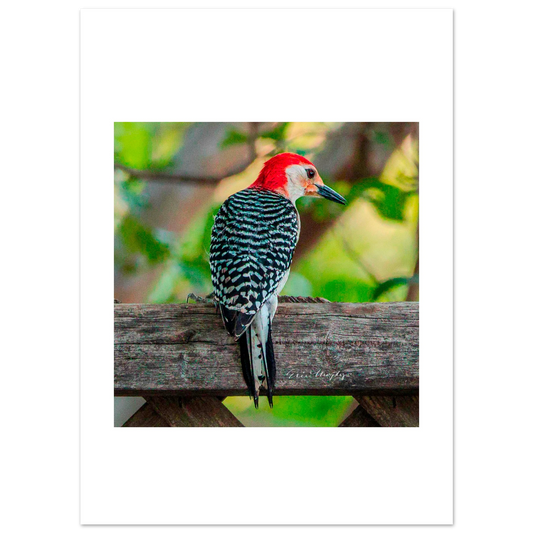 8bcbc1ee-3be3-4a8f-ac3a-5914ef7750e1