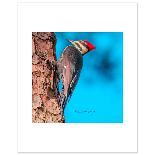 a1644e7b-f5ae-464d-a3eb-73063ad322d7