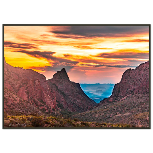 aa1785fd-1f66-4e8e-8e14-ffa855eee44d