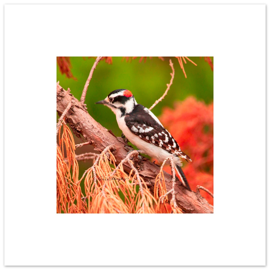 b3cc65c6-b285-410b-bb4a-a585b394db0f