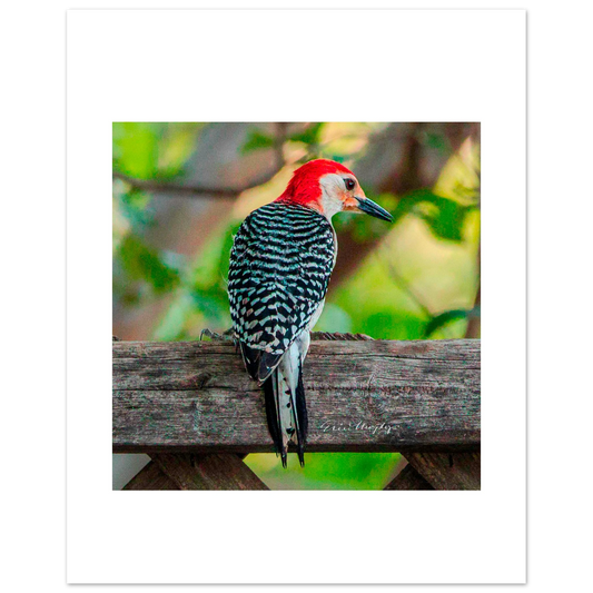 bc582c61-6513-4034-a680-1ead878fd3ca