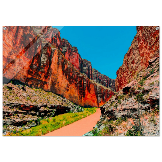 cf050d98-1fb4-460e-ac48-08c14f5608f3