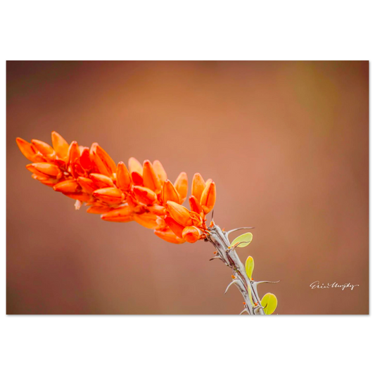 d73e17ae-ee54-41fb-b7be-649163f0a0a9