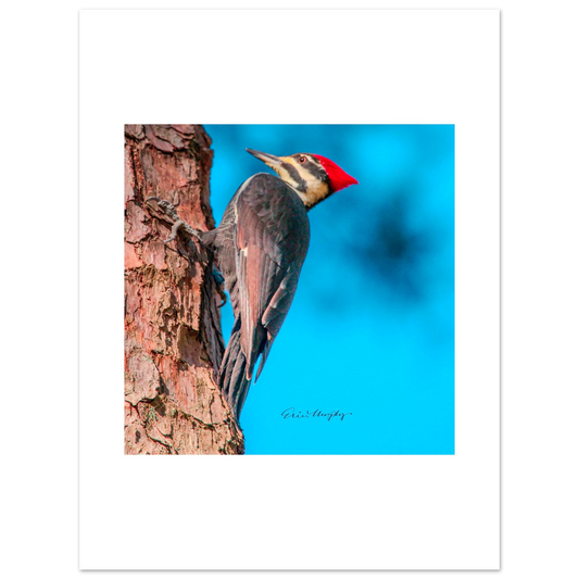 e9df1853-6f8b-47cc-bd17-bc4dd962247f