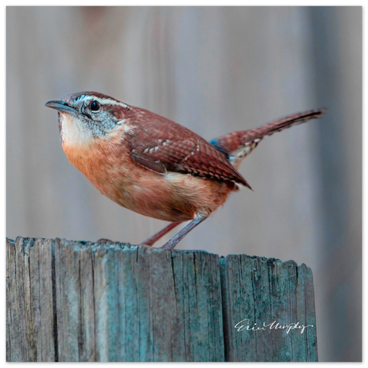 f8027940-874e-424f-84f7-d90c653bbf30